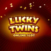 Image for Lucky twins