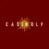 Logo image for Casinoly