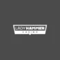 Logo image for Lady Hammer Casino