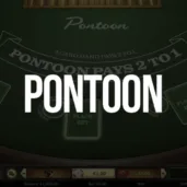 Logo image for Pontoon