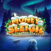 Logo image for Money Sleigh